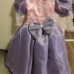 Disney Princess Dress