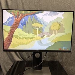 Dell P2219HC Monitor 22in 1080p Usb Type C Compatible
