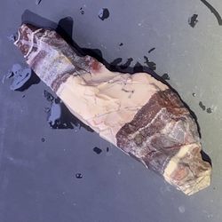 Exotica Sci Fi Porcelain Jasper from Mexico Scenic Pattern Raw Natural Rough 