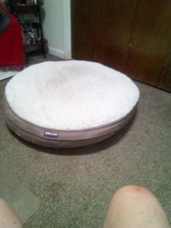 Dog bed large