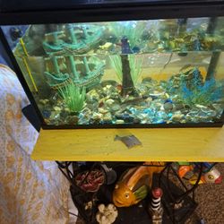 5 Gallon Fish Tank And Stand