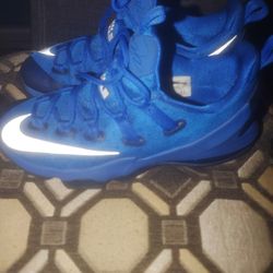 Lebrons