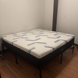 *New King size Therapedic Mattress