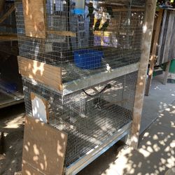 Bird Cage 
