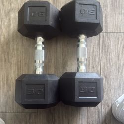 30 Lbs Dumbells 