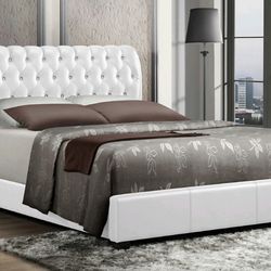 Queen Size Bed Frame only color black or white