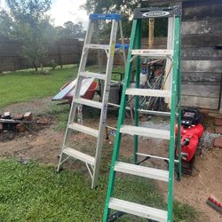 Ladder Werner