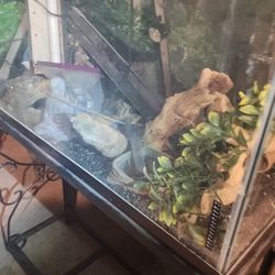 FISH AQUARIUM/REPTILE AQUARIUM ,CAST IRON STAND