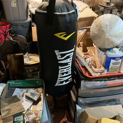 everlast training bag 