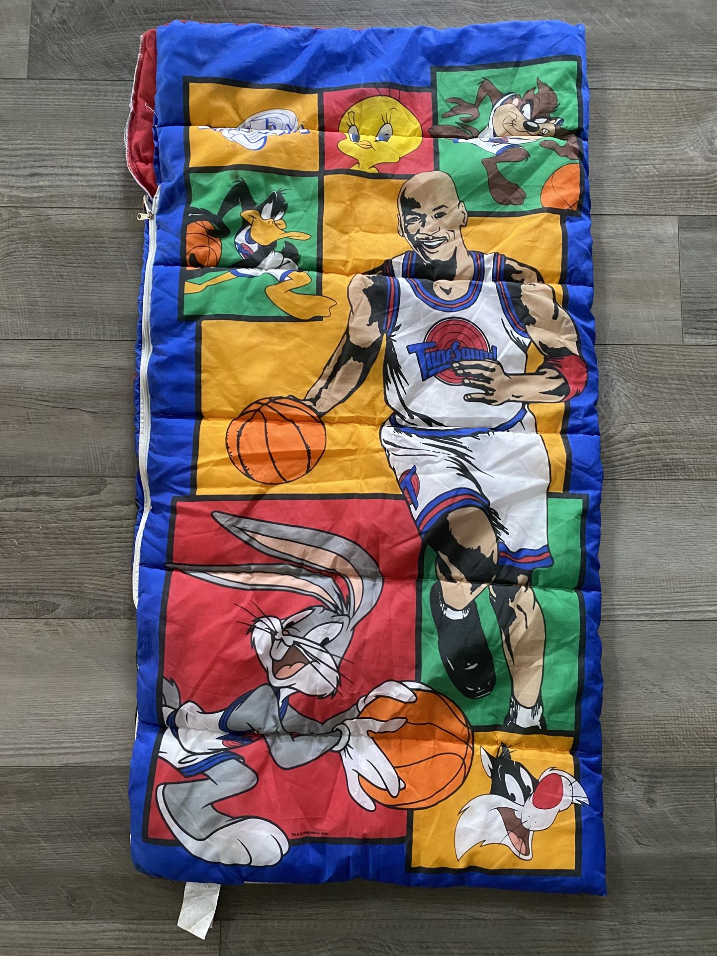1996 Space Jam Michael Jordan Looney Sleeping Bag 