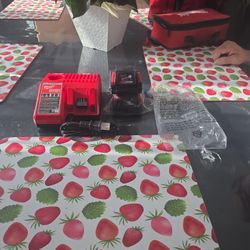 Milwaukee 2 Batteries and Charger. Red Lithium 2.0. New