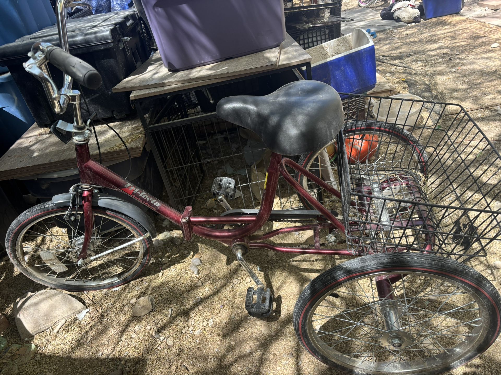 Schwinn Trifecta Trike Cruiser