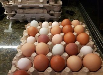 Fresh Farm Eggs $6 -Monroe