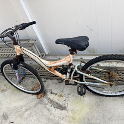 Bikes 