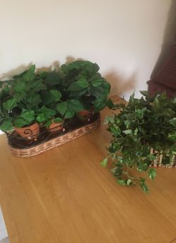 2 artificial plants