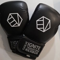 12 Oz Boxing GLOVES 