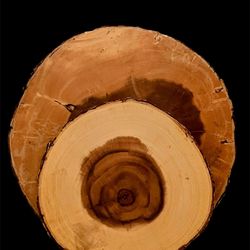 Wood Slice Centerpiece Home Decoration set of 2