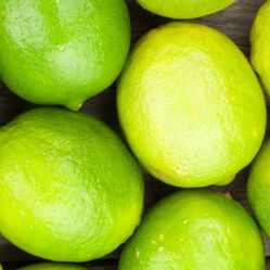 Bear Lime Seedless Standard Size 😃😃😃😃🌿🌿🌿🌿