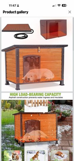 Heated Dog house