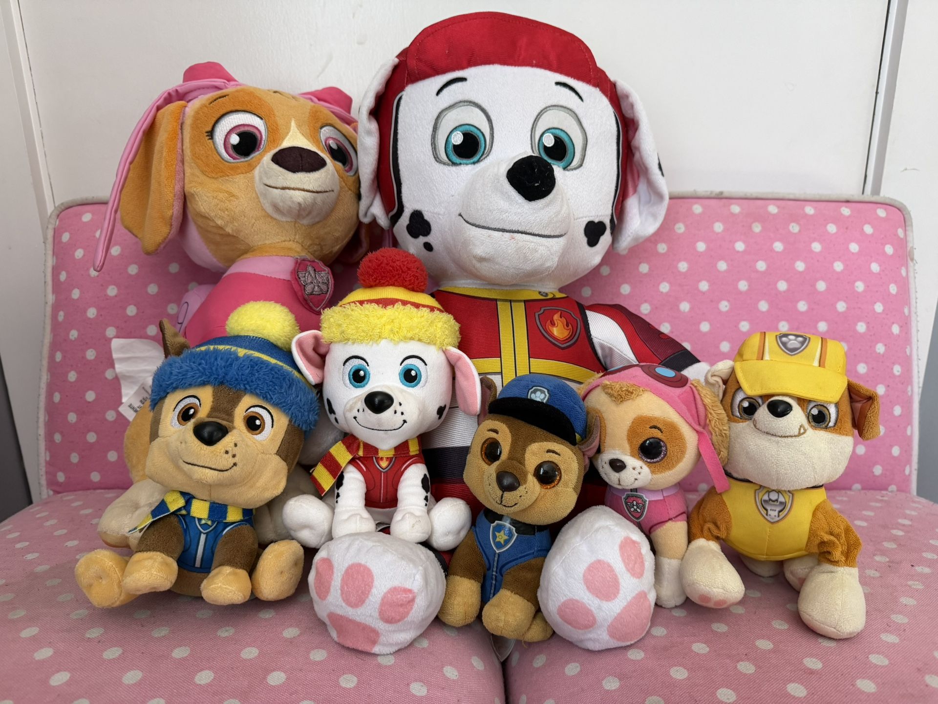 Paw Patrol Lot