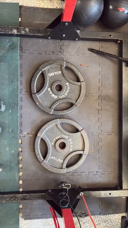 Fitness Gear 45 lb Olympic Weight Plates (Pair)