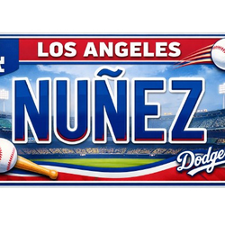 Custom LA Dodgers license plate