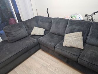 Alteri 2 piece sectional with chaise