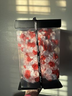 Eternal Rose Teddy 🧸