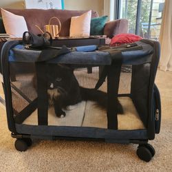 Rolling Cat Carrier