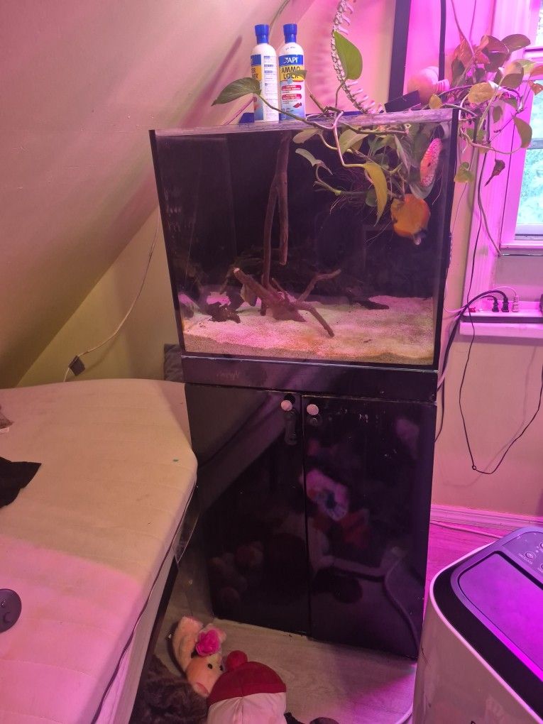 Fish Tank