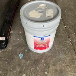 Eggshell Paint 7570 EGRET WHITE