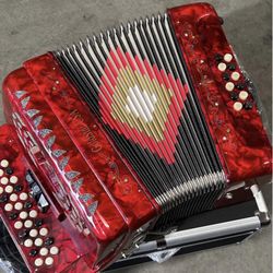 Precioso 🩷 button accordion 🪗 34 button