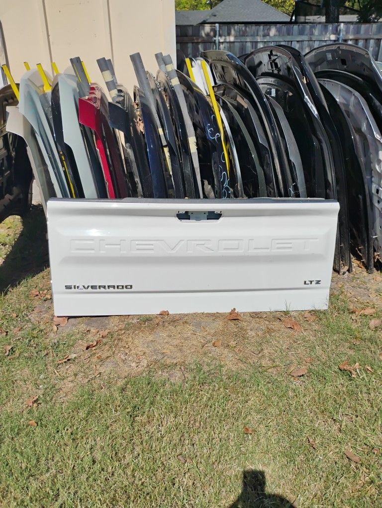 2019-2024 Chevy Silverado 1500 Tailgate OEM