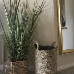 Basket And Plant 