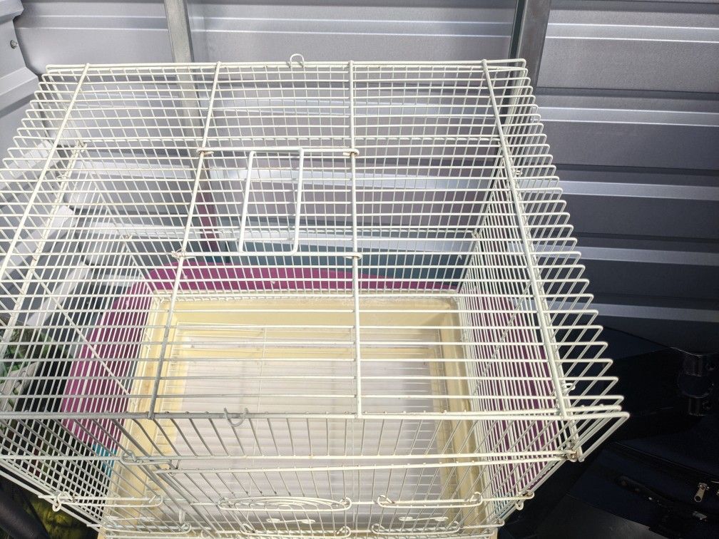 Bird Cage