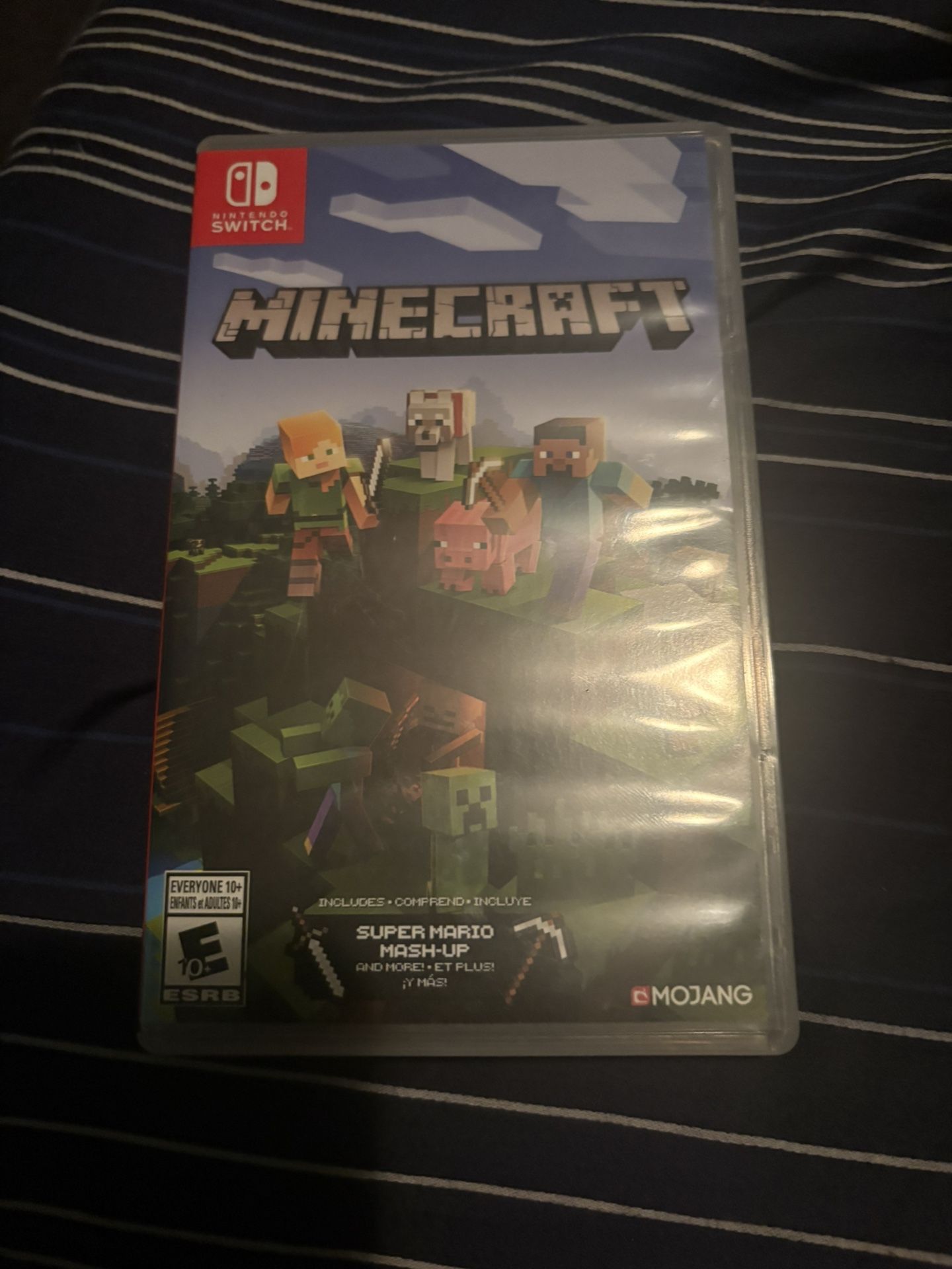 Minecraft Nintendo Switch