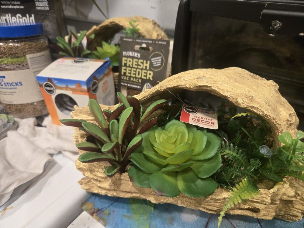 Almost Complete Setup For Reptile Enclosure