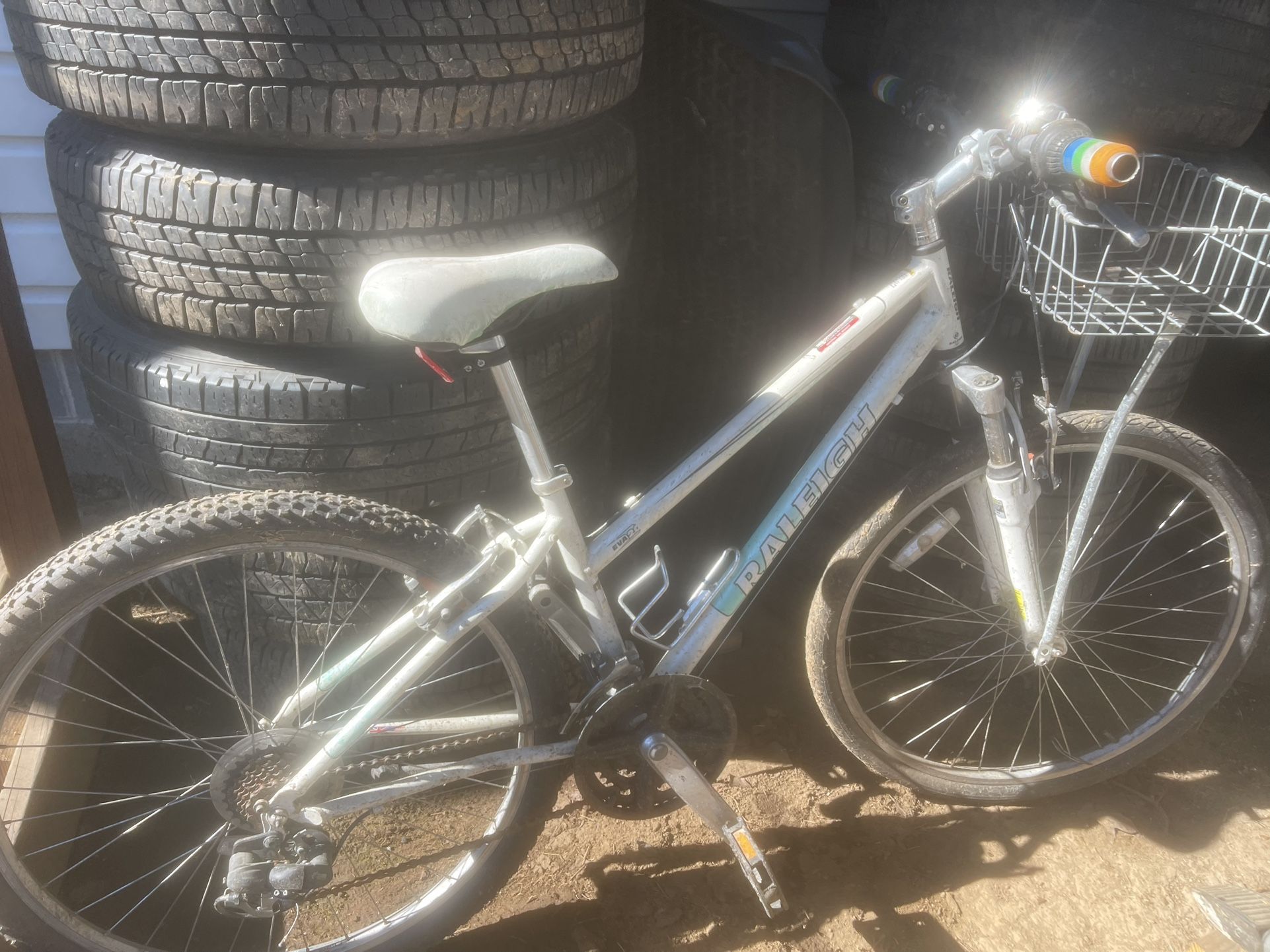 Raleigh Bike