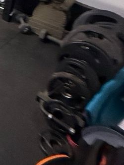 Bumper Plate Weight Set