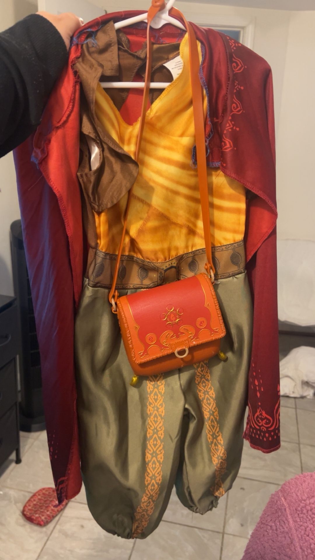 Raya & The Dragon Costume (4-6x)