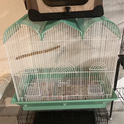  Parrot cage