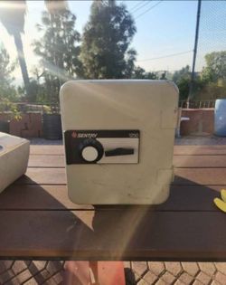 Sentry 1250 safe