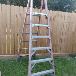Werner Ladder  #10