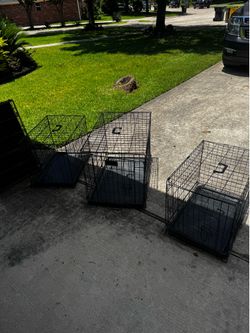 Kennel/Crate/Cage