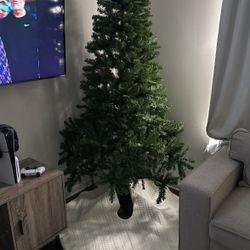 Christmas Tree 