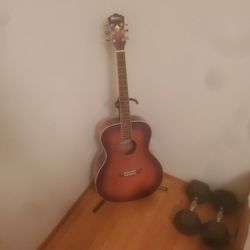 Washburn Guitar