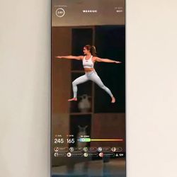 Smart Fitness Exercise MIRROR