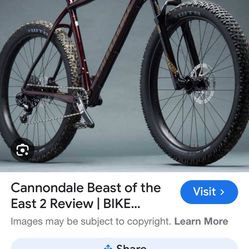 Cannondale Beast Of The East 2018