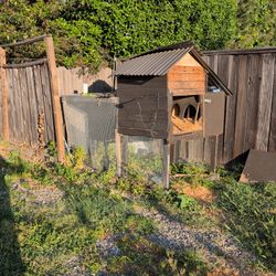 Chicken Coop
