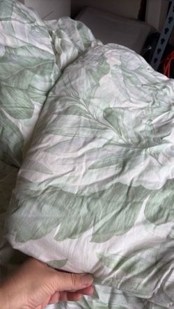 King comfort and 2 pillow shams.